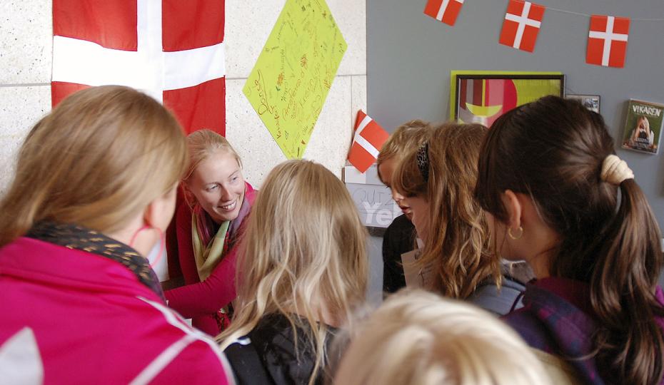 DANNE BRO VS. DANNEBROG - Nye sprogregler på Science betyder, at dansk bliver det eneste sprog i undervisningslokalerne på Matematiks bachelorfag. Det vil skade internationaliseringen, siger kritikere.