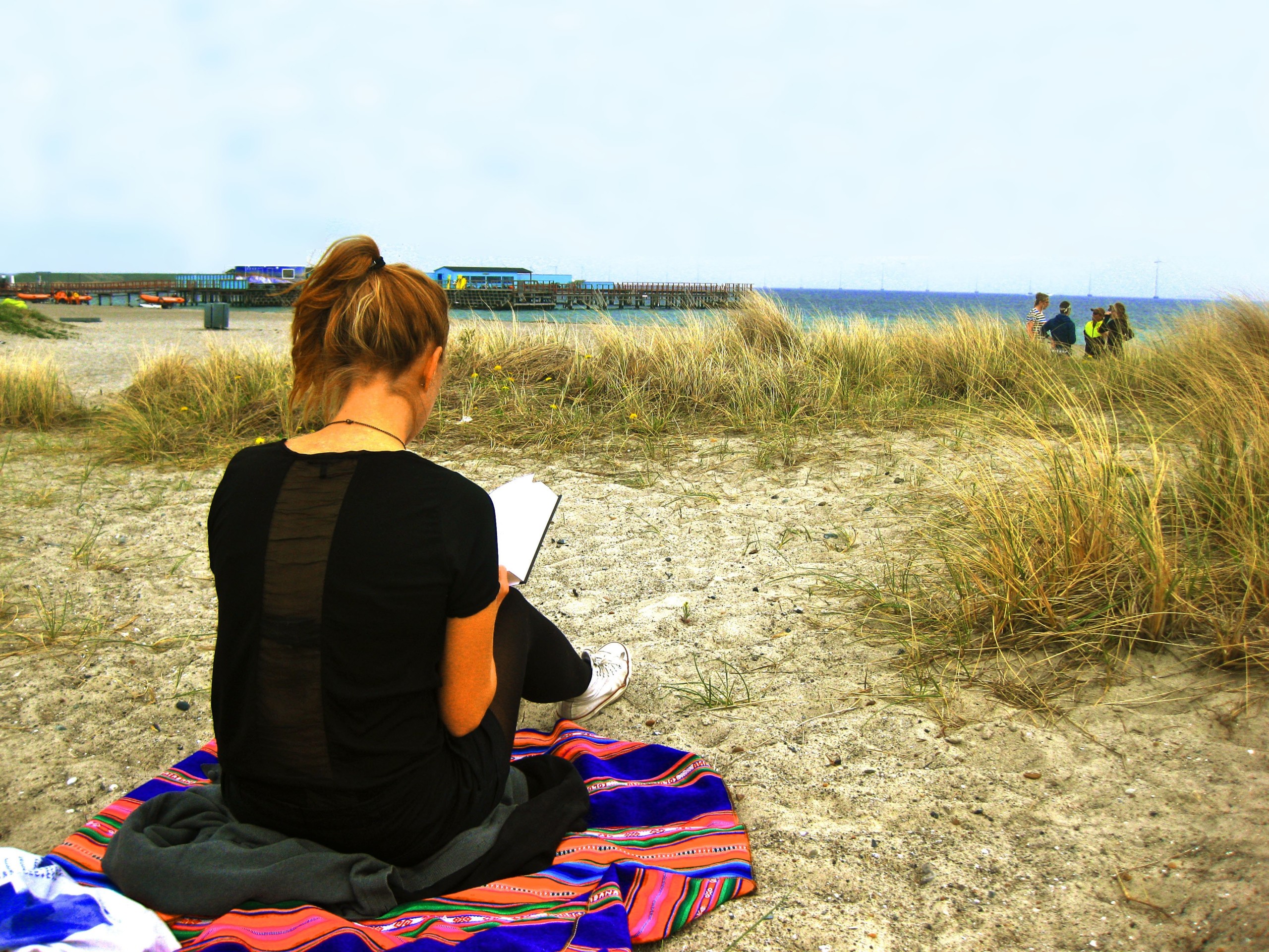  Is it a park? Is it a beach?  Amagerstrandpark (Amager Beach Park) is both.