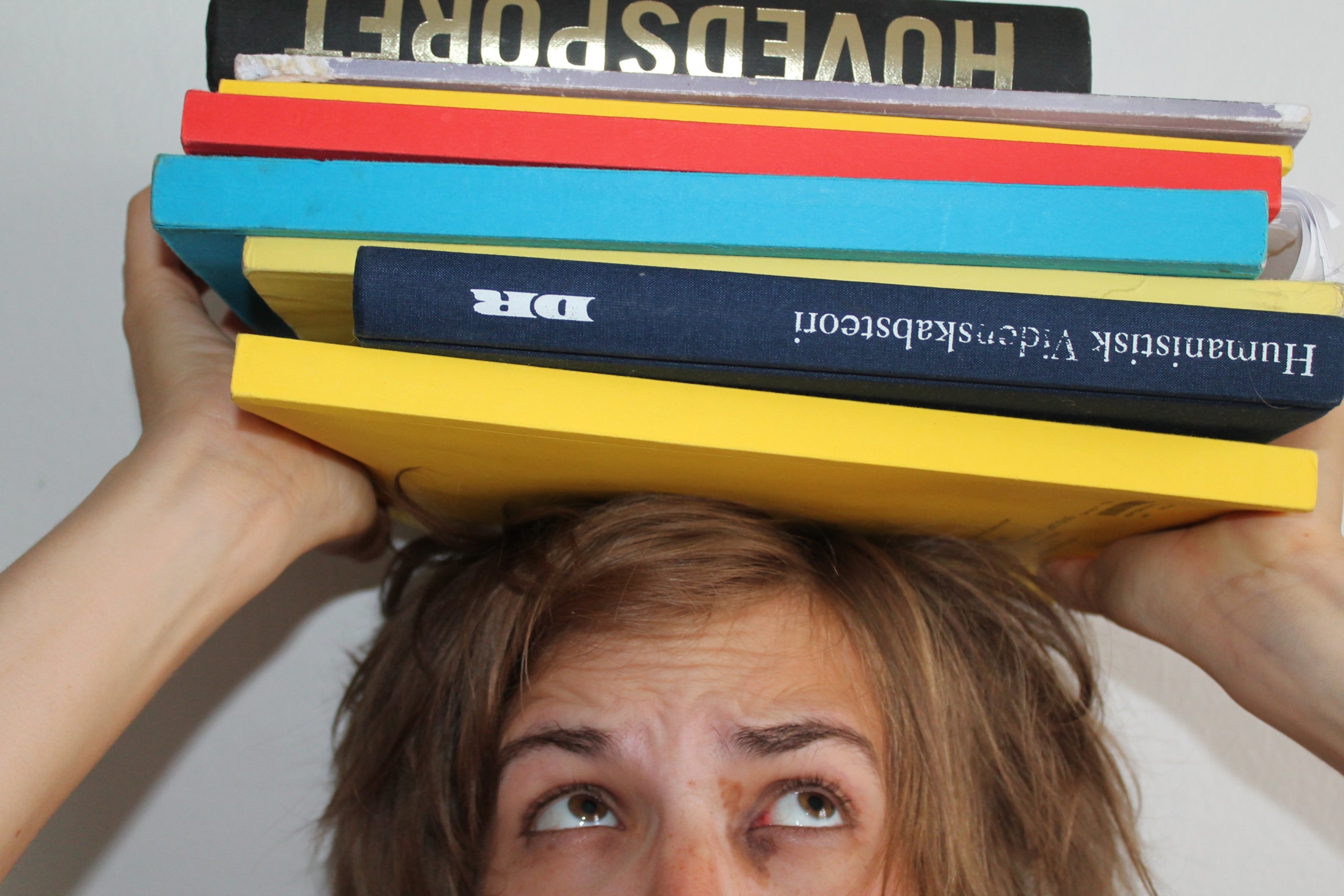 BALANCEGANG -  Læs hvordan du som russer holder fanen højt, selv om universitetets mange krav og traditioner vejer godt til.