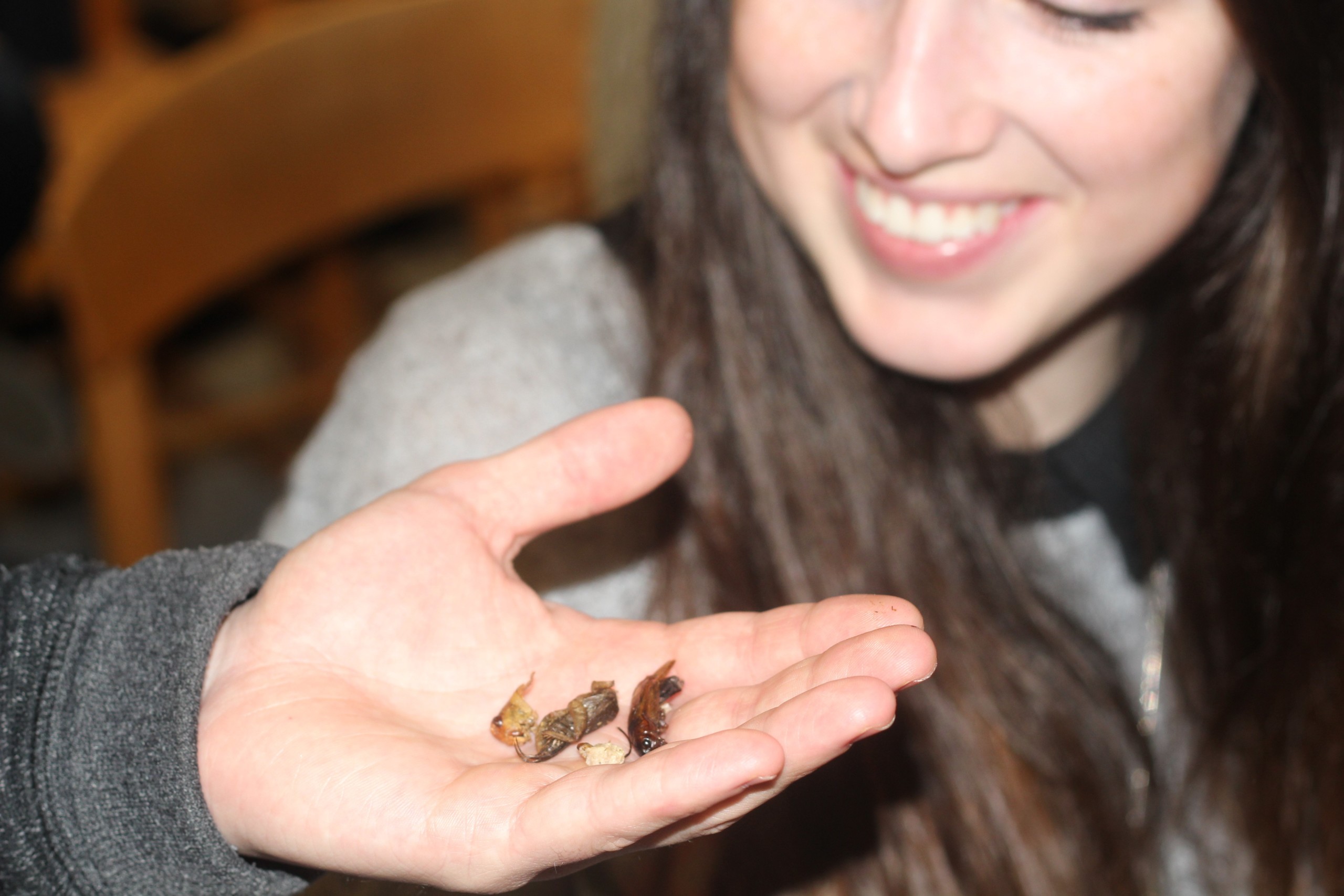 People were equally curious and sceptical when presented with the snacks