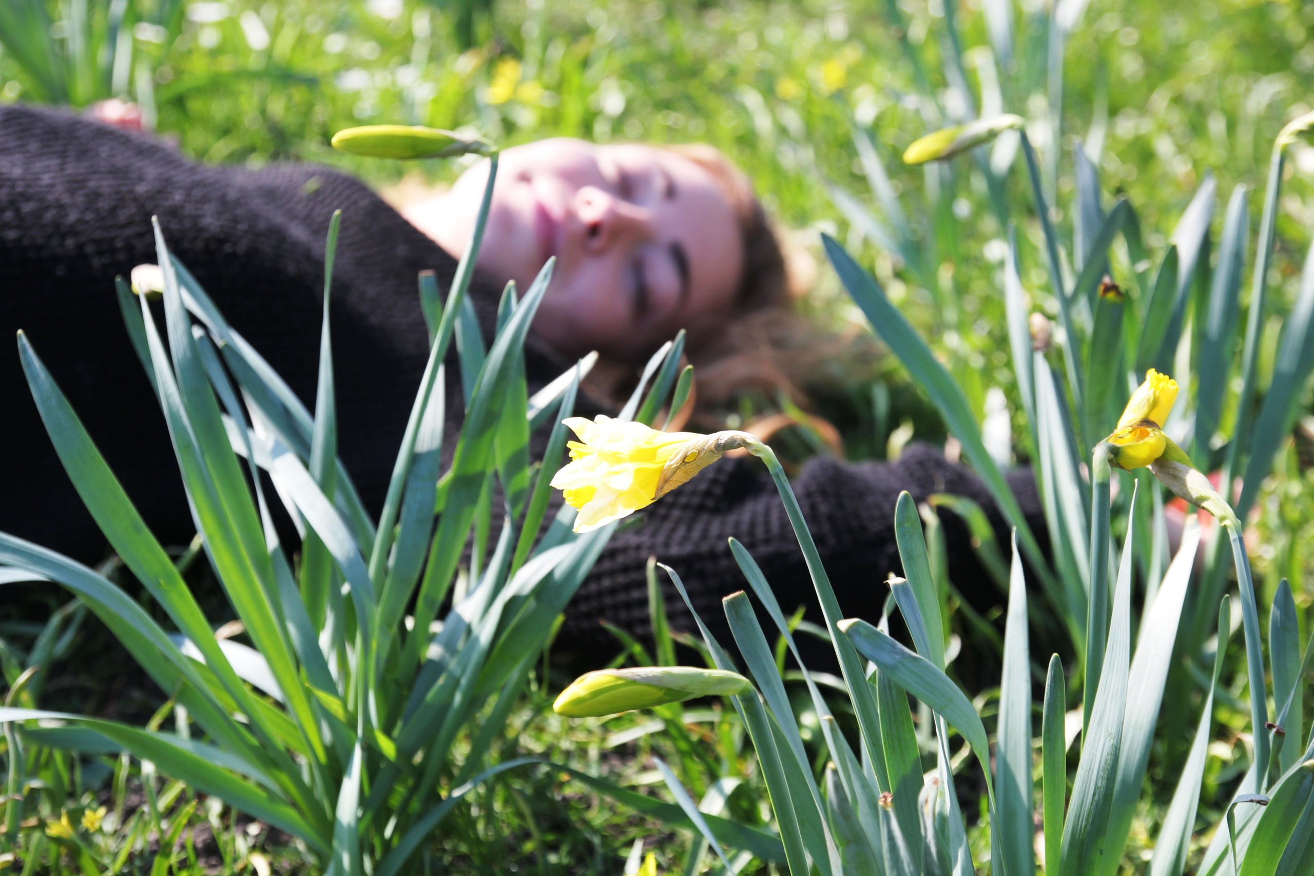 Enjoy the beautiful spring weather in the Copenhagen parks on your numerous days off