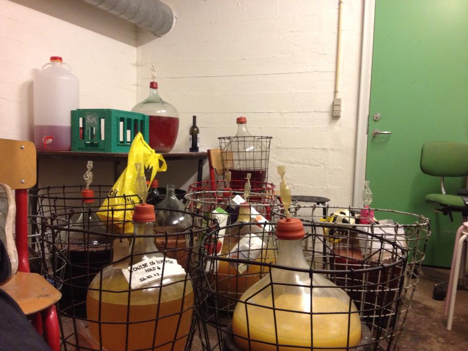 HJEMMEBRYG - De studerende på Farma brygger deres egen vin, og det vil Studiemiljøudvalget gerne støtte. Vinklubben har netop modtaget midler til et nyt vaskbart gulv.