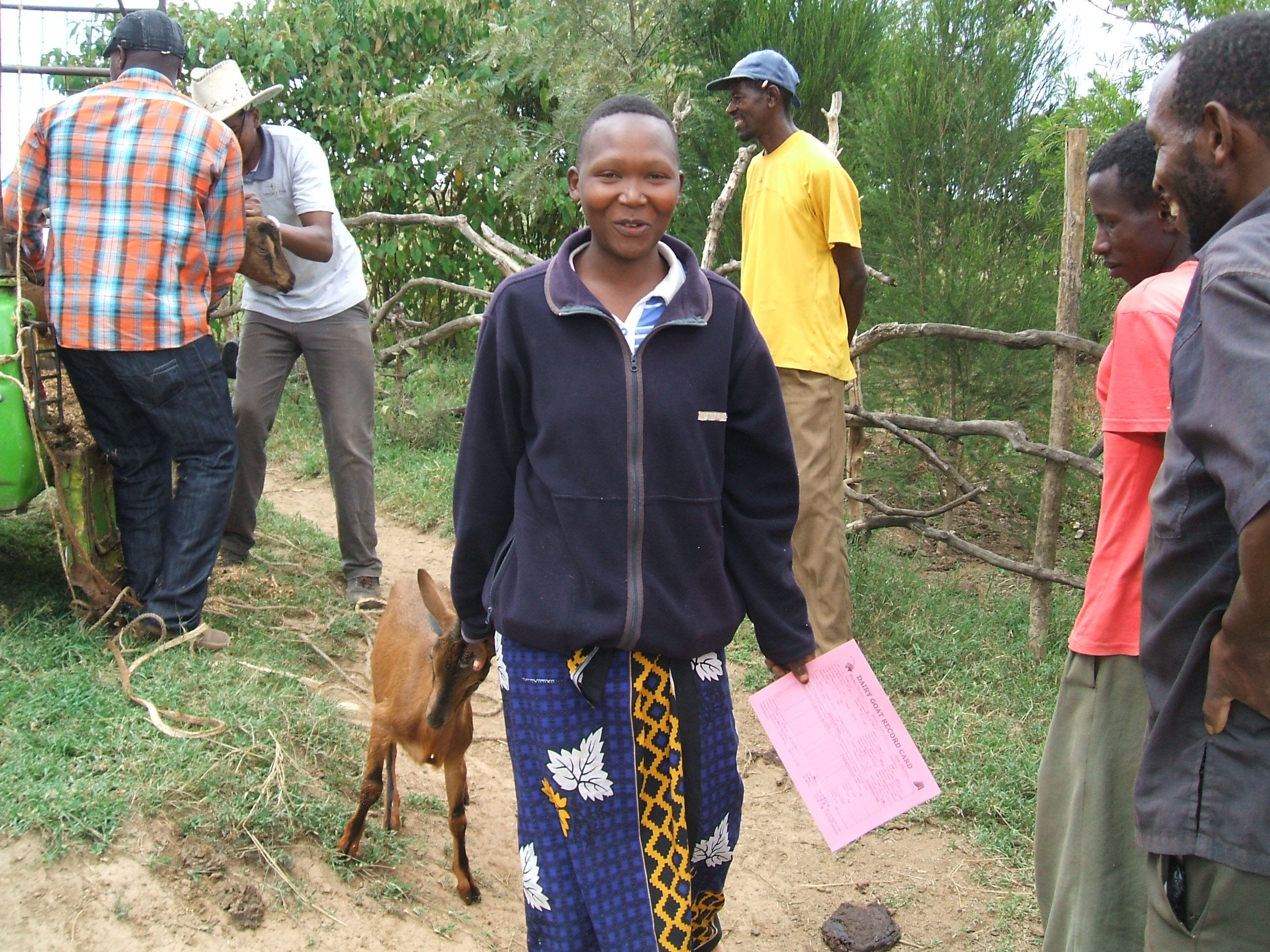 Delivery of the goats to Solio, Kenya. Six students took a long journey to deliver them