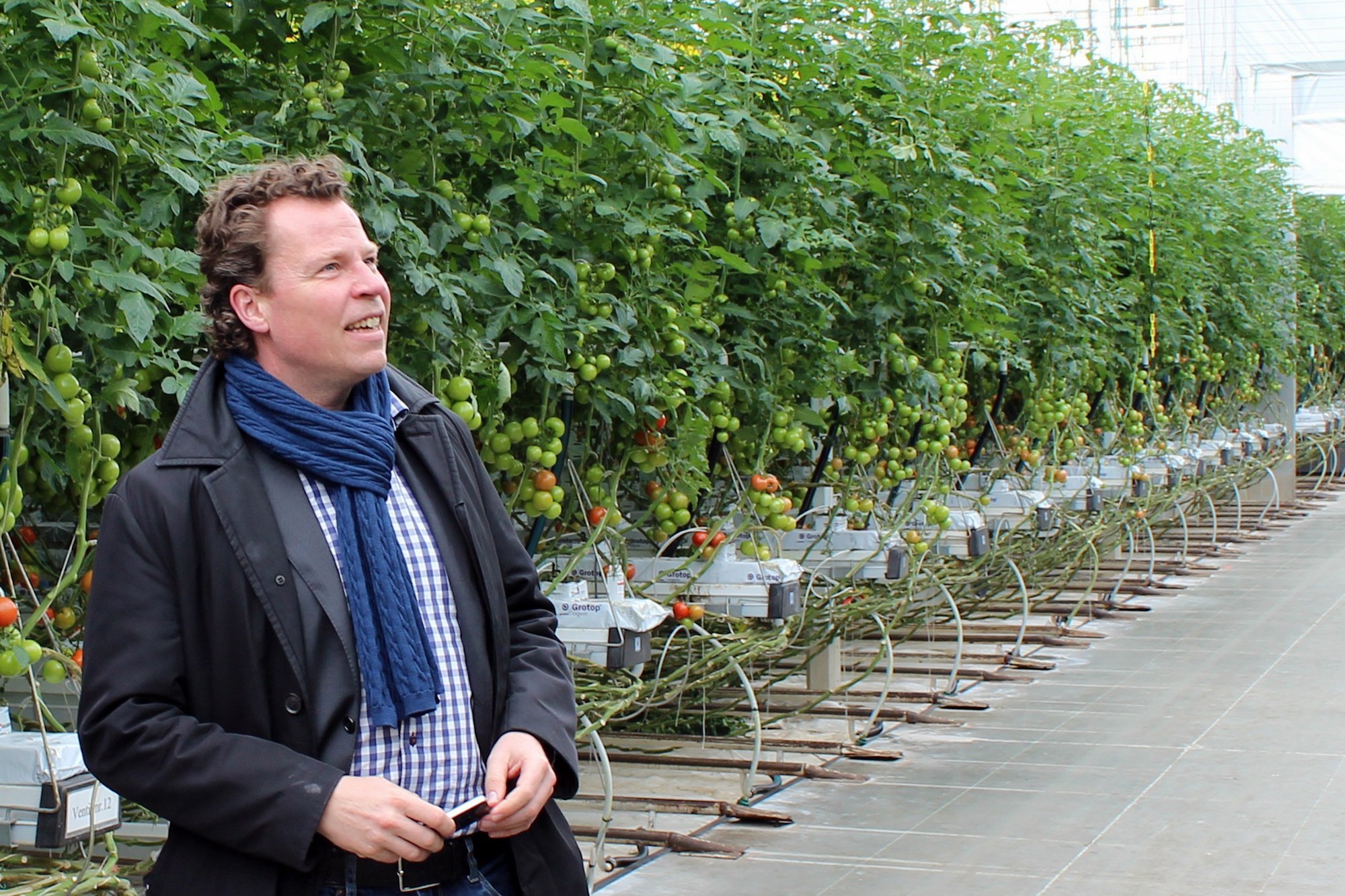 Morten Helveg Petersen and the Social-Liberal Party want a strong European Union