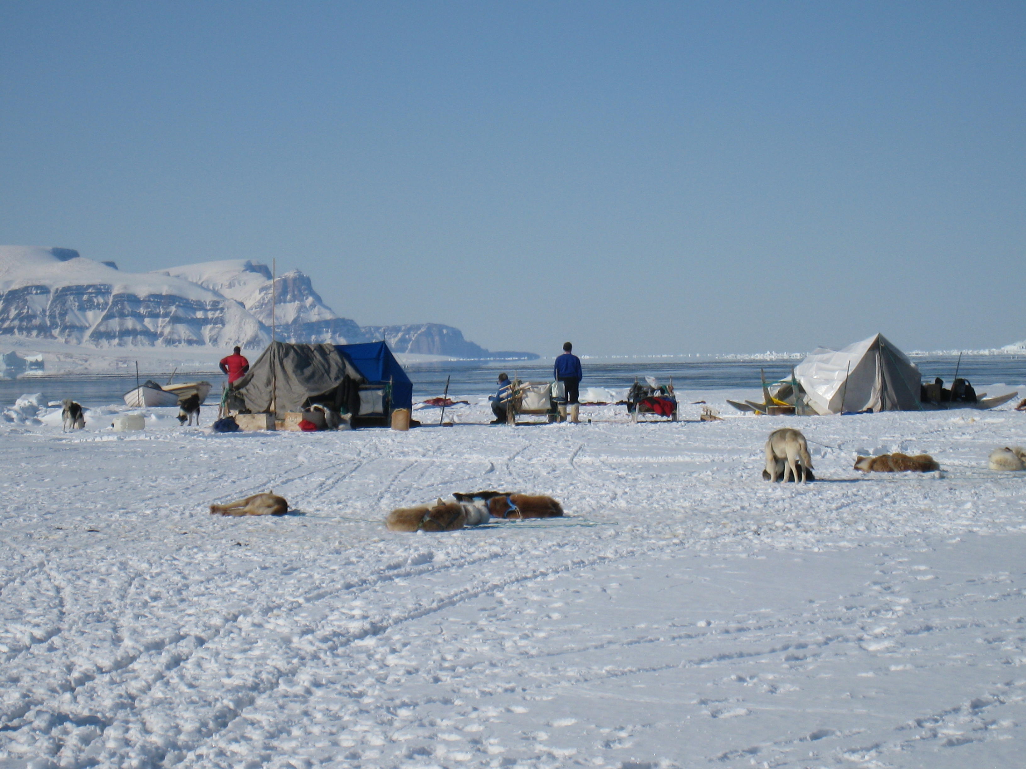 FORSKNING - Professor i antropologi Kirsten Hastrup har besøgt grønlandske fangere i Nordgrønland som en del af det verdensomspændende forskningsprojekt Waterworlds.