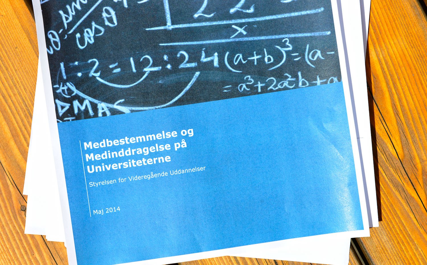 MEDBESTEMMELSE - Epinion stod bag undersøgelsen om medbestemmelse på de danske universiteter i foråret 2014.