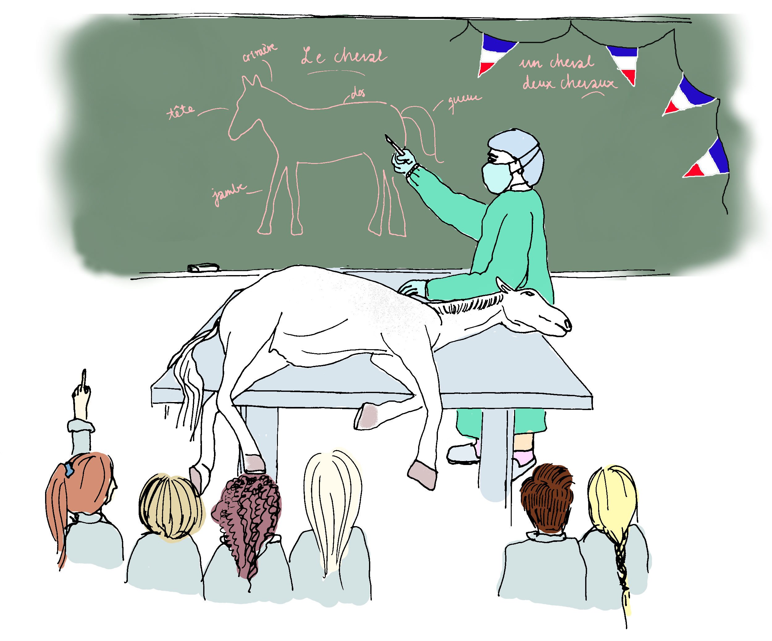 SPROG - Dyrlægestuderende skal lære fransk - hvis de vil. Med den sprogstrategiske satsning vil KU tilbyde alle studerende sprogundervisning i løbet af studiet.