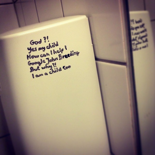 ''More toilet wisdom. Yes, we are at the department of art and cultural studies'' says yaldapilechian