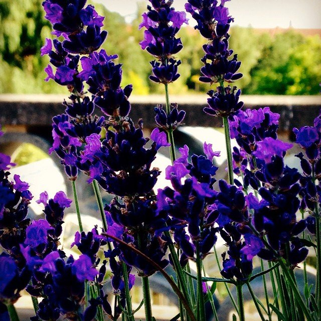 instagram user: axel.bautista
