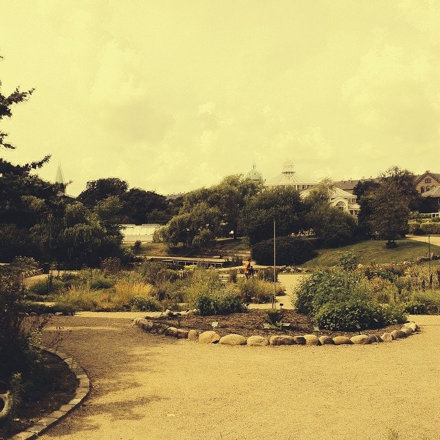 instagram user: moulesfritescph