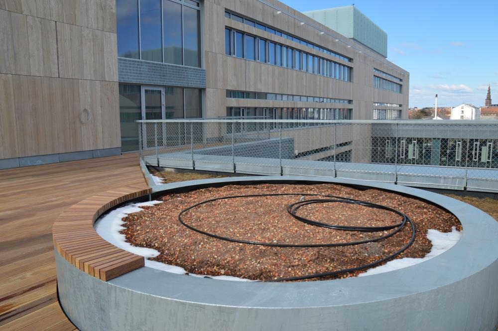 It looks modern and sophisticated on the outside, but the KUA 2 building has been plagued by a mold contamination. 