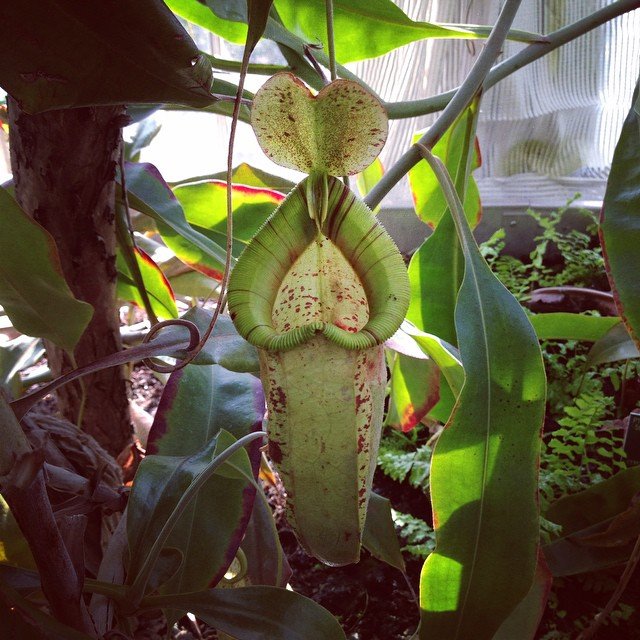 instagram user: cammer_