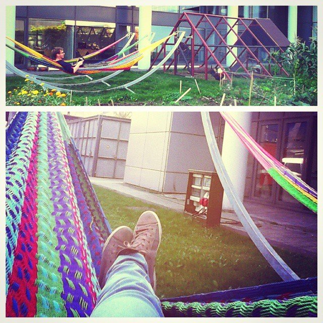 instagram user: sdsalmeida