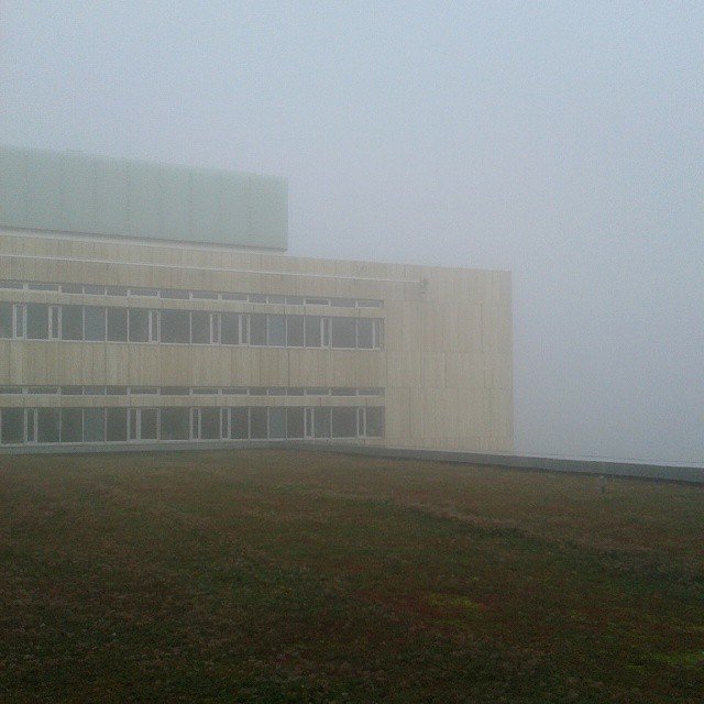 instagram user: frksejr