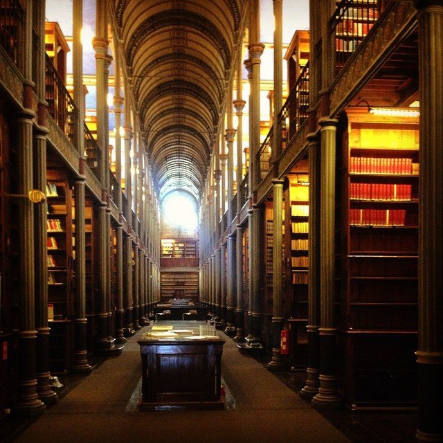 instagram user: lilyliu_