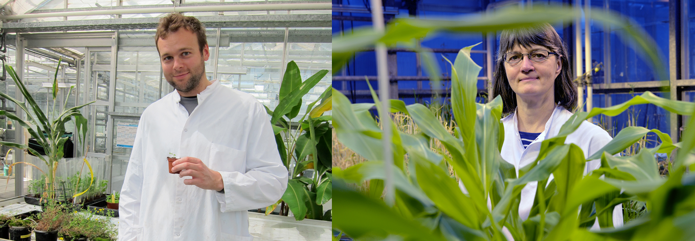 Postdoc Svend Roesen Madsen (left) and professor and head of the DynaMo Center, Barbara Ann Halkier (right)