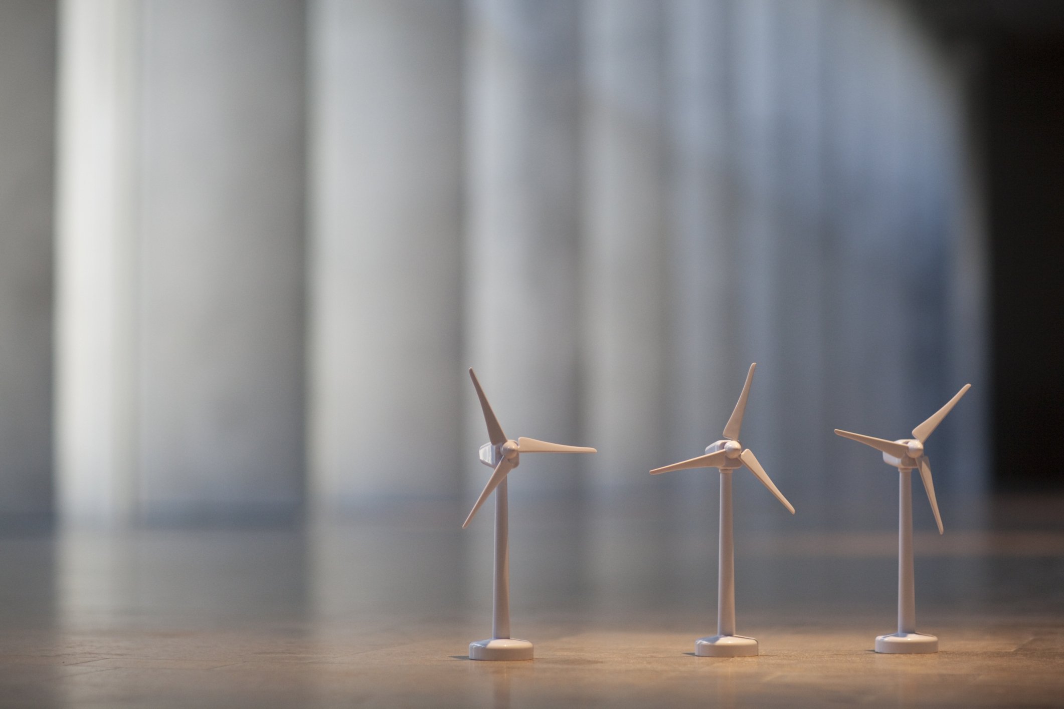 BÆREDYGTIG - Selve konferencen er arrangeret med bæredygtighed in mente. Konferencehotellet er svanemærket, og der er købt regnskovscertifikater til alle de deltagere, som KU har fløjet ind - den udpustede CO2 er kompenseret med i alt 46 kvadratkilometer regnskov, der nu skal beskyttes.