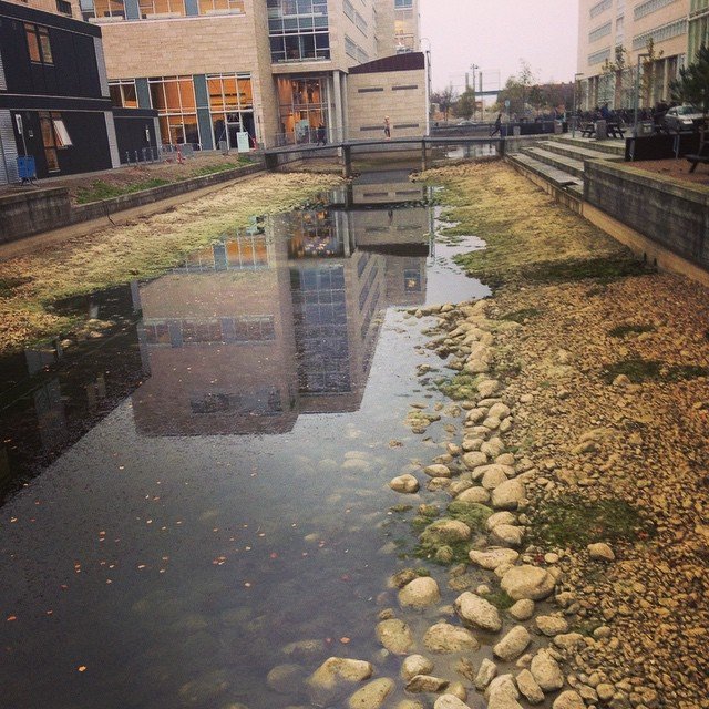 Nice if you happen to be doing research on 'algae' 