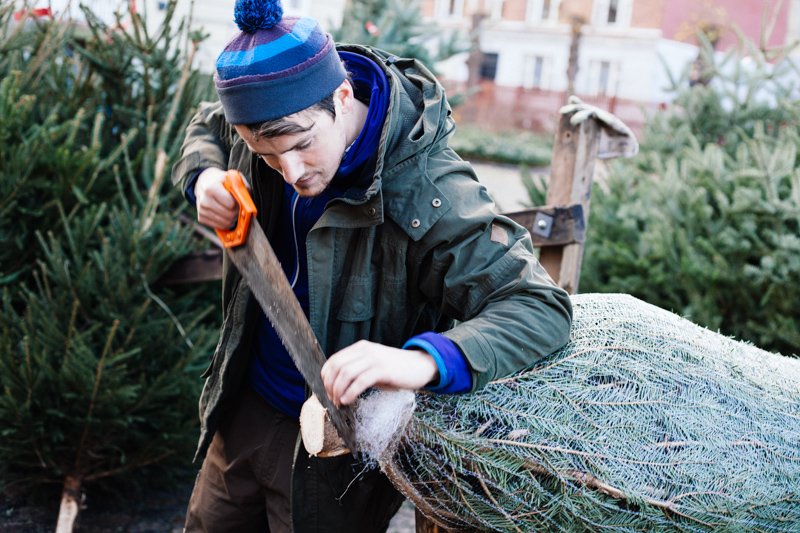 Lars Andreasen, a forestry student, cutting a tree at the Christmas market