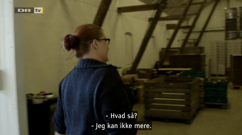 Screenshot from DR programme 'The Day Foreigners Disappeared'