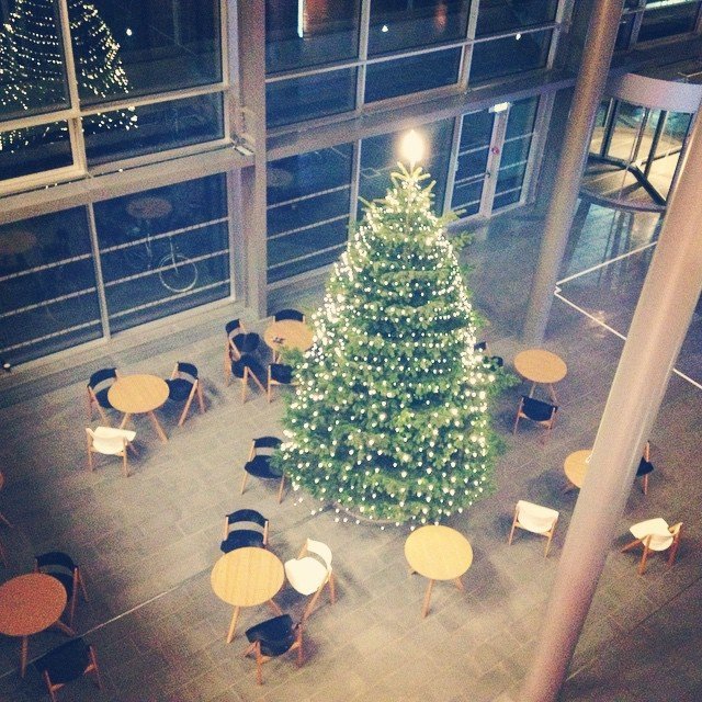 Instagram user: bibky