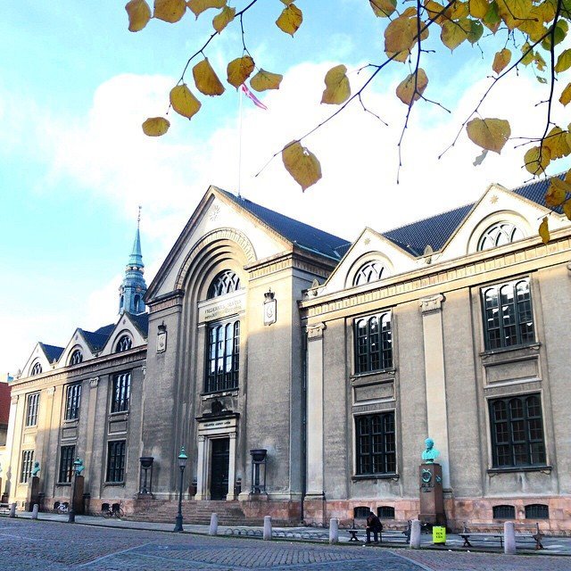 instagram user: _naomip