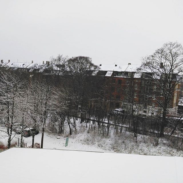 Photo: @nellyrmd, Instagram