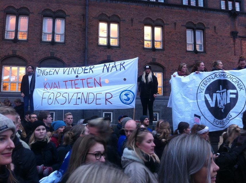 Students attending a protest in 2015 after the plan for financial cuts at the University of Copenhagen was announced.