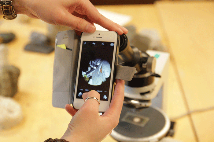 It is just a picture with an iPhone through a microscope, but a new world opens