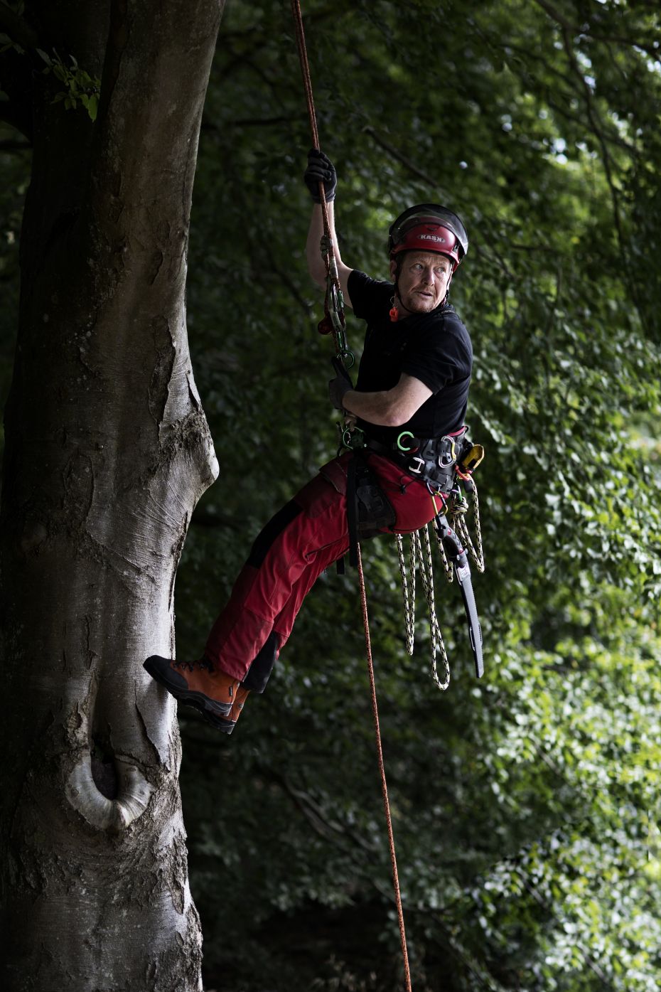 If you want to know anything about tree genetics, you have to pick the seeds directly from the tree. From the ground, you cannot know which exact oak tree that the acorn comes from. If you want to plant a tree for wood timber, you must ensure that the acorn comes from a tall, slender, oak, says Bent Jensen. Personal safety is important, so 'buddy checks' and the maintenance of climbing equipment are an important part of the course.