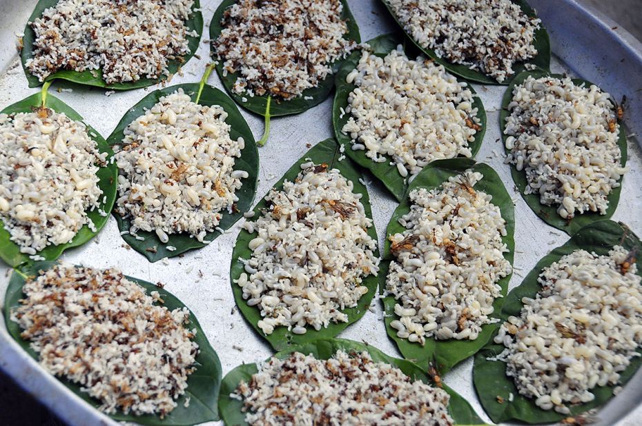 Different insects deliciously served on green leaves. Several research environments in Denmark can see the sense in us eating this
