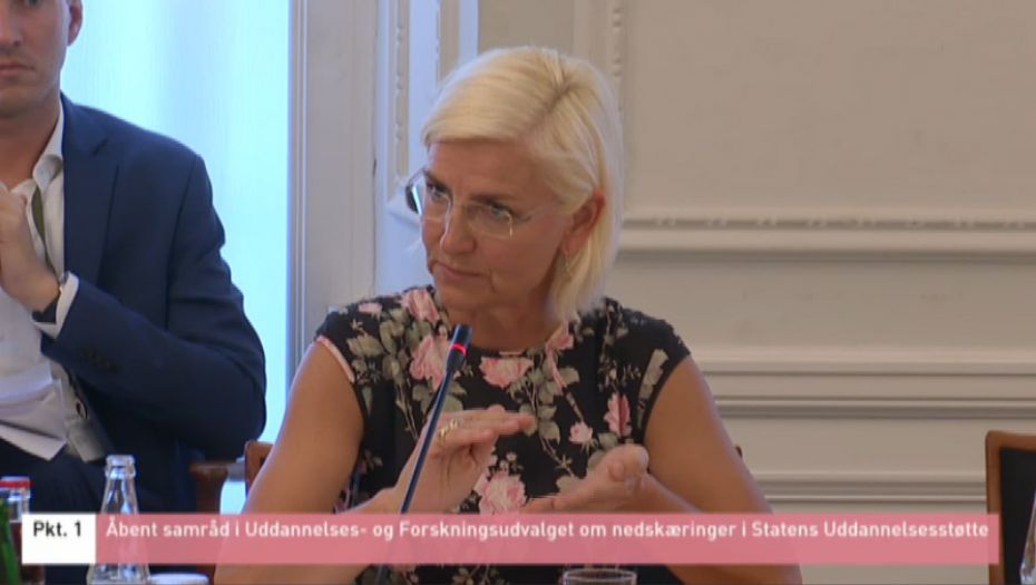 Screenshot from ft.dk