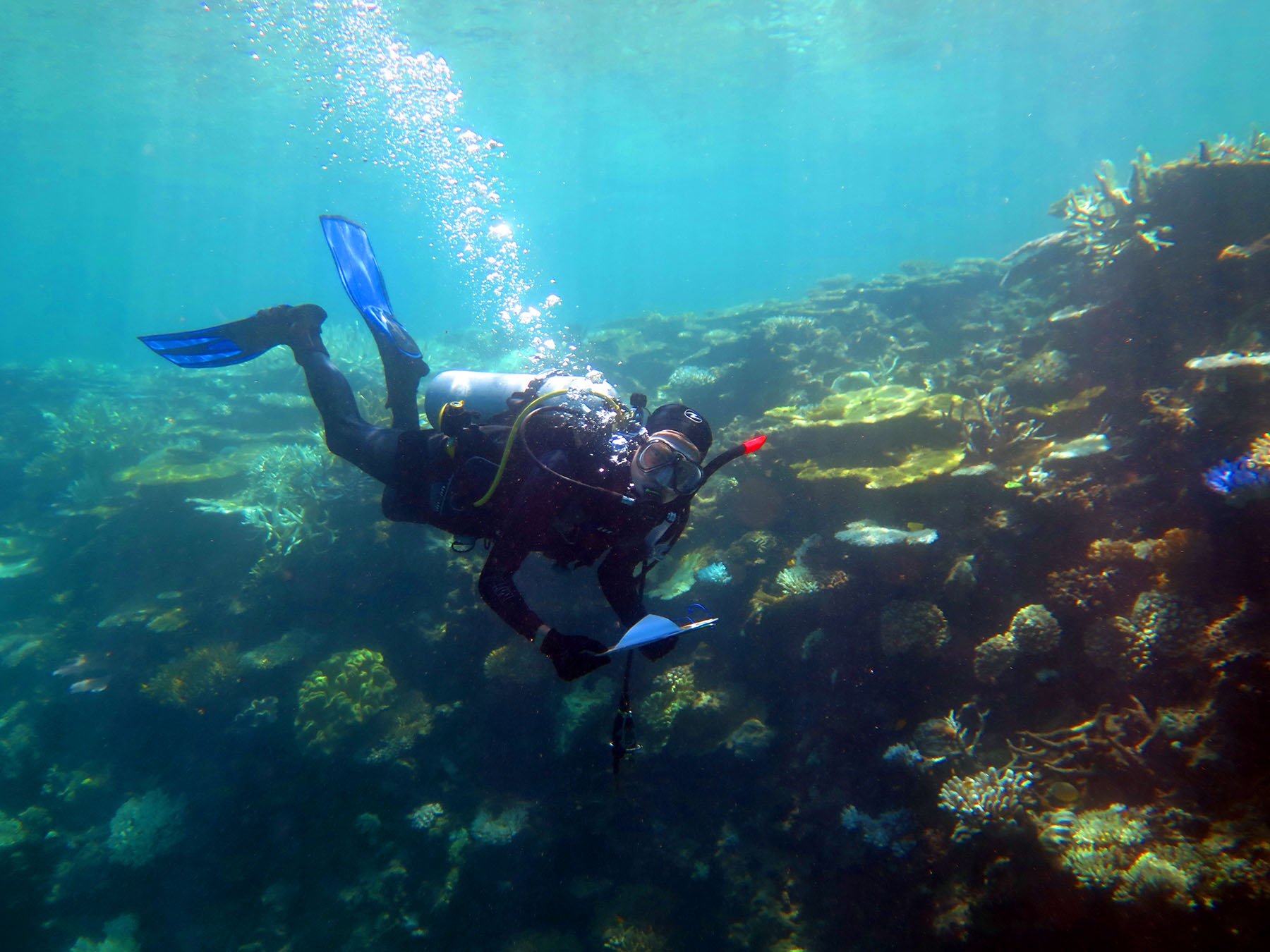 Ole Brodnicke collecting data for a major research project on coral death on the world's largest coral reef, the Great Barrier Reef, which runs for 1,500 km along the coast of eastern Australia.