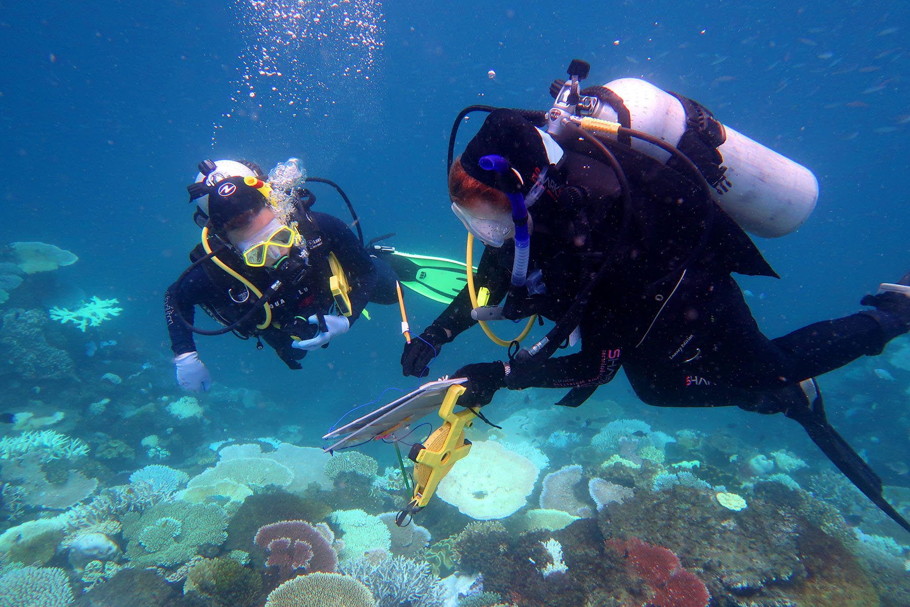 The research group's diving teams, Svenja Müller and Bette Willis, have a 