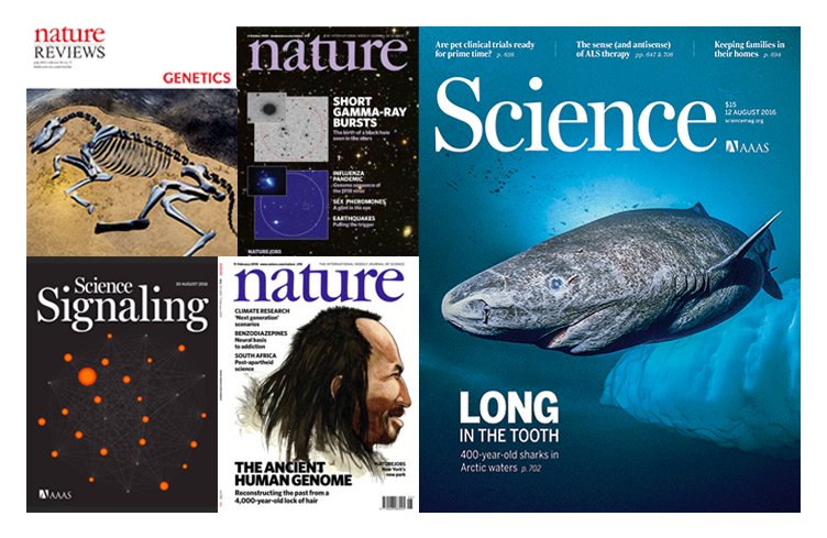 Nordic record: UCPH the &lsquo;most published&rsquo; in prestigious journals