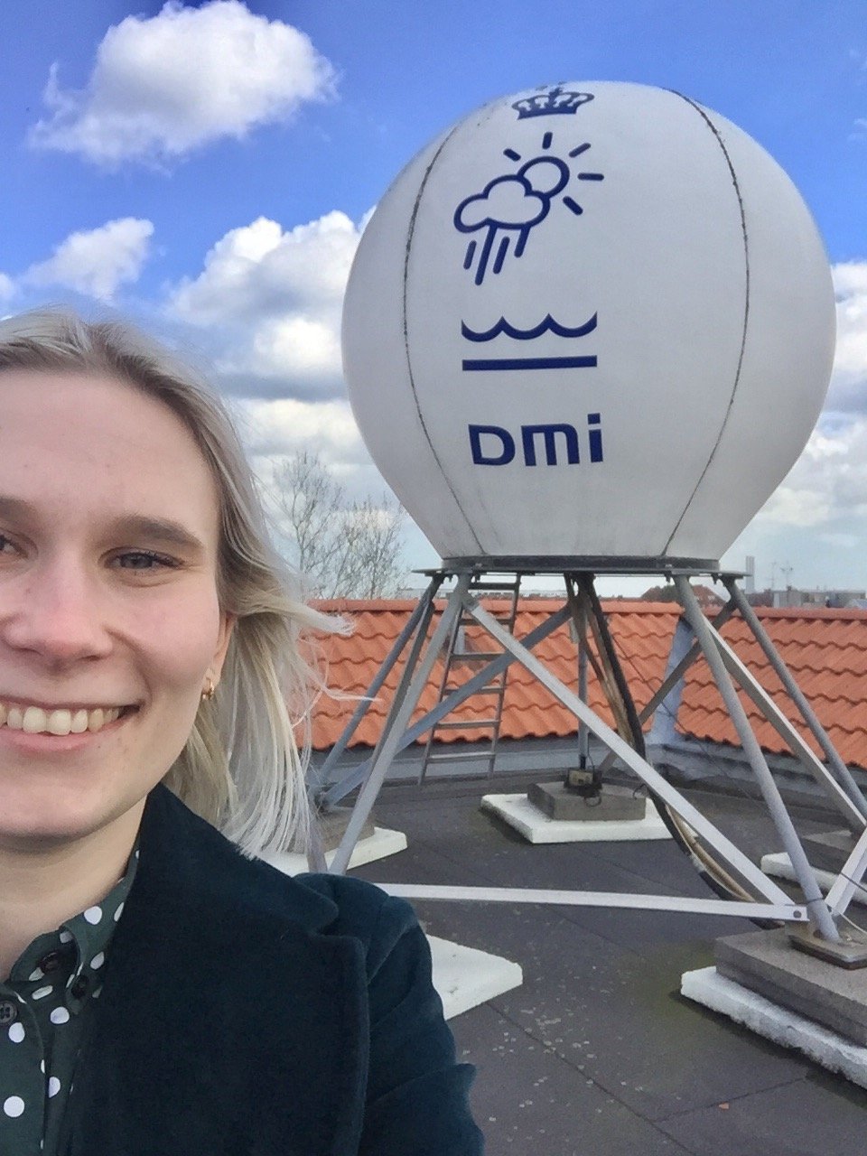 Fra toppen af DMI på Østerbro. Skyen på billedet er af typen 