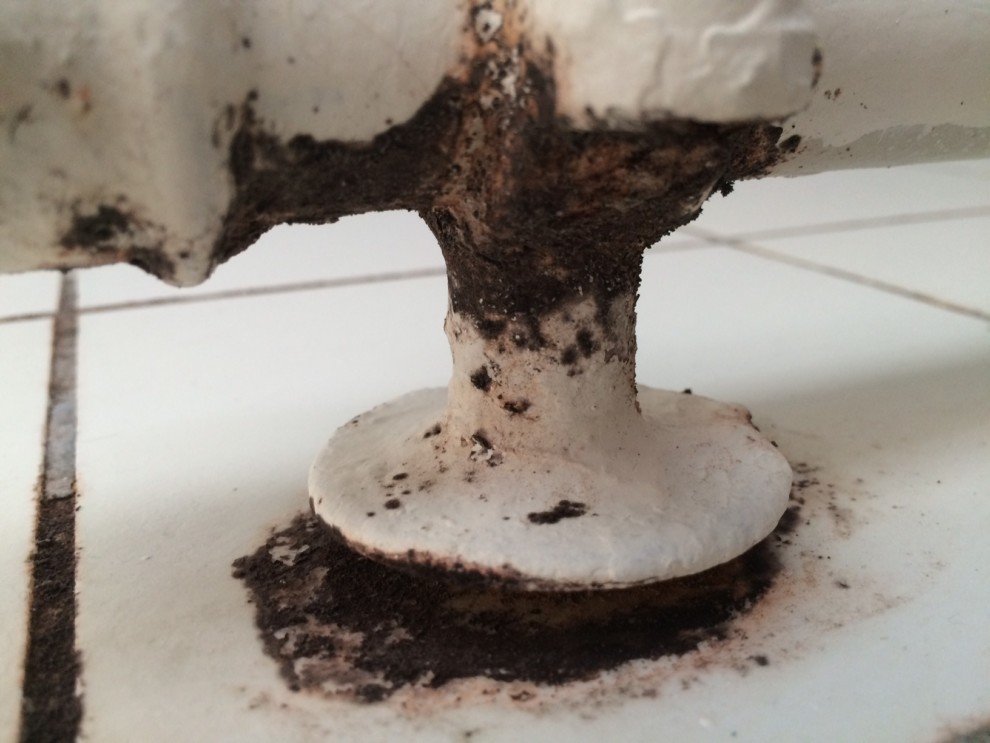 International researcher feels cheated by UCPH’s Housing Foundation