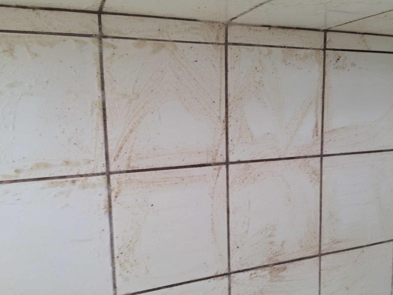 International researcher feels cheated by UCPH’s Housing Foundation