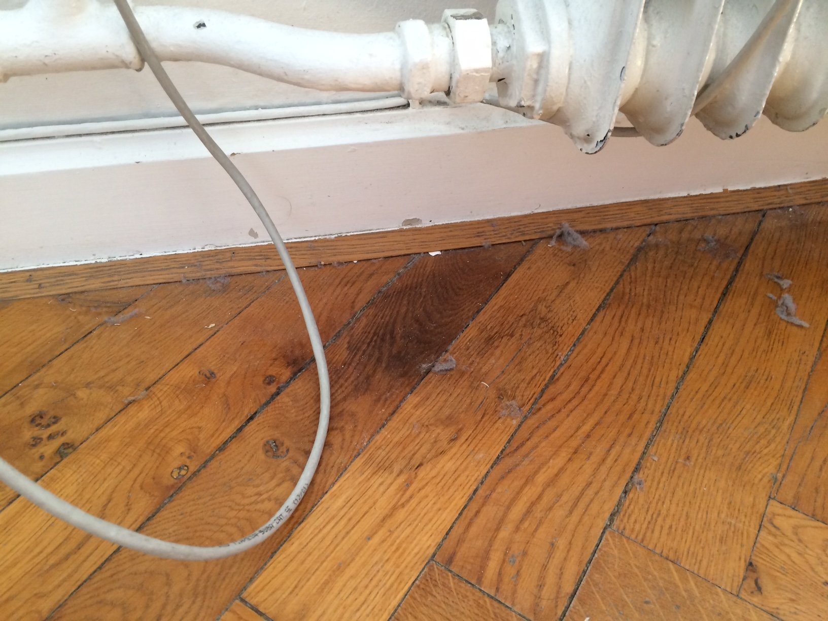 International researcher feels cheated by UCPH’s Housing Foundation