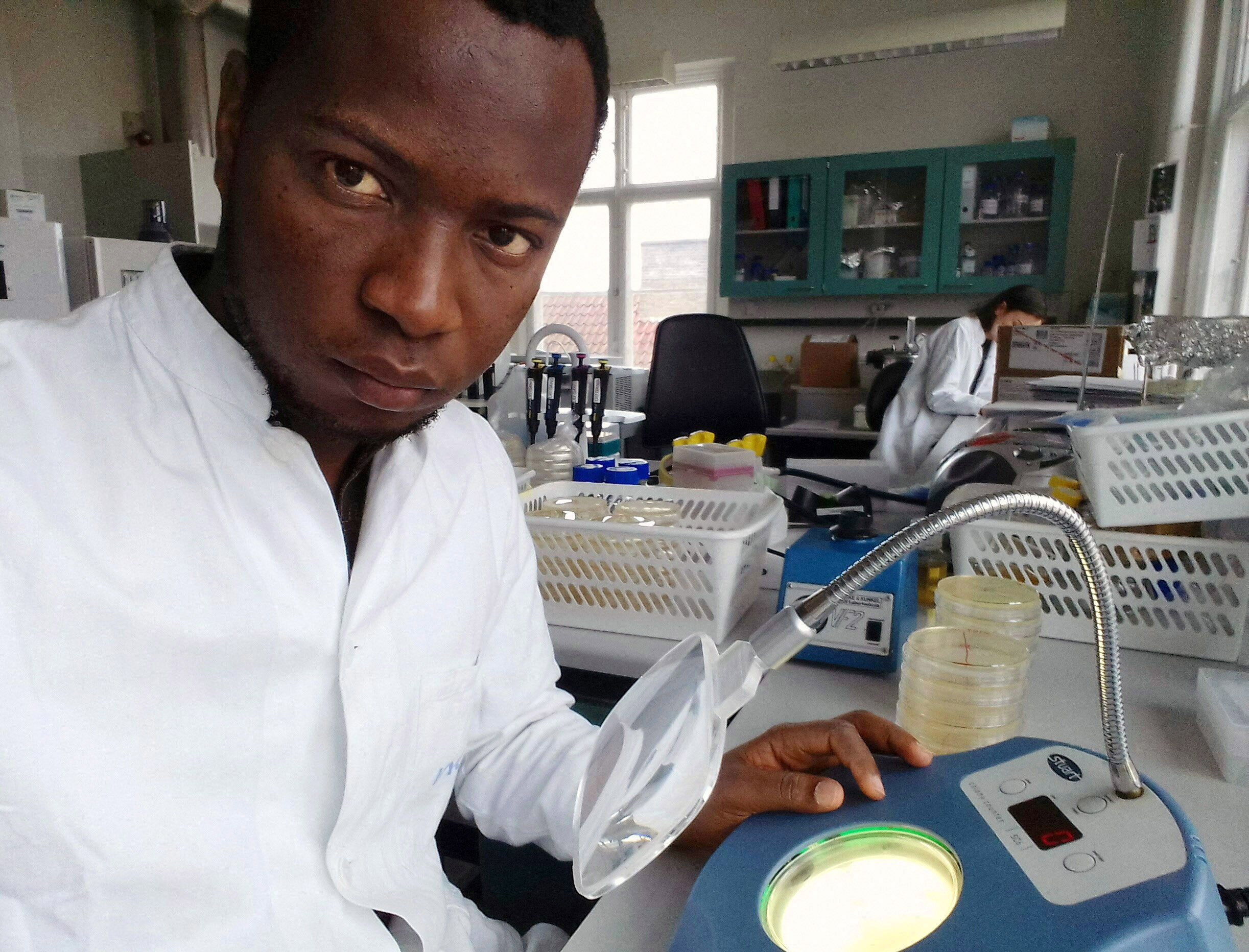 Gildas Hounmanou counting bacterial colonies in the Bacteriology Lab 401 at the Faculty of Health and Medical Sciences at the University of Copenhagen.