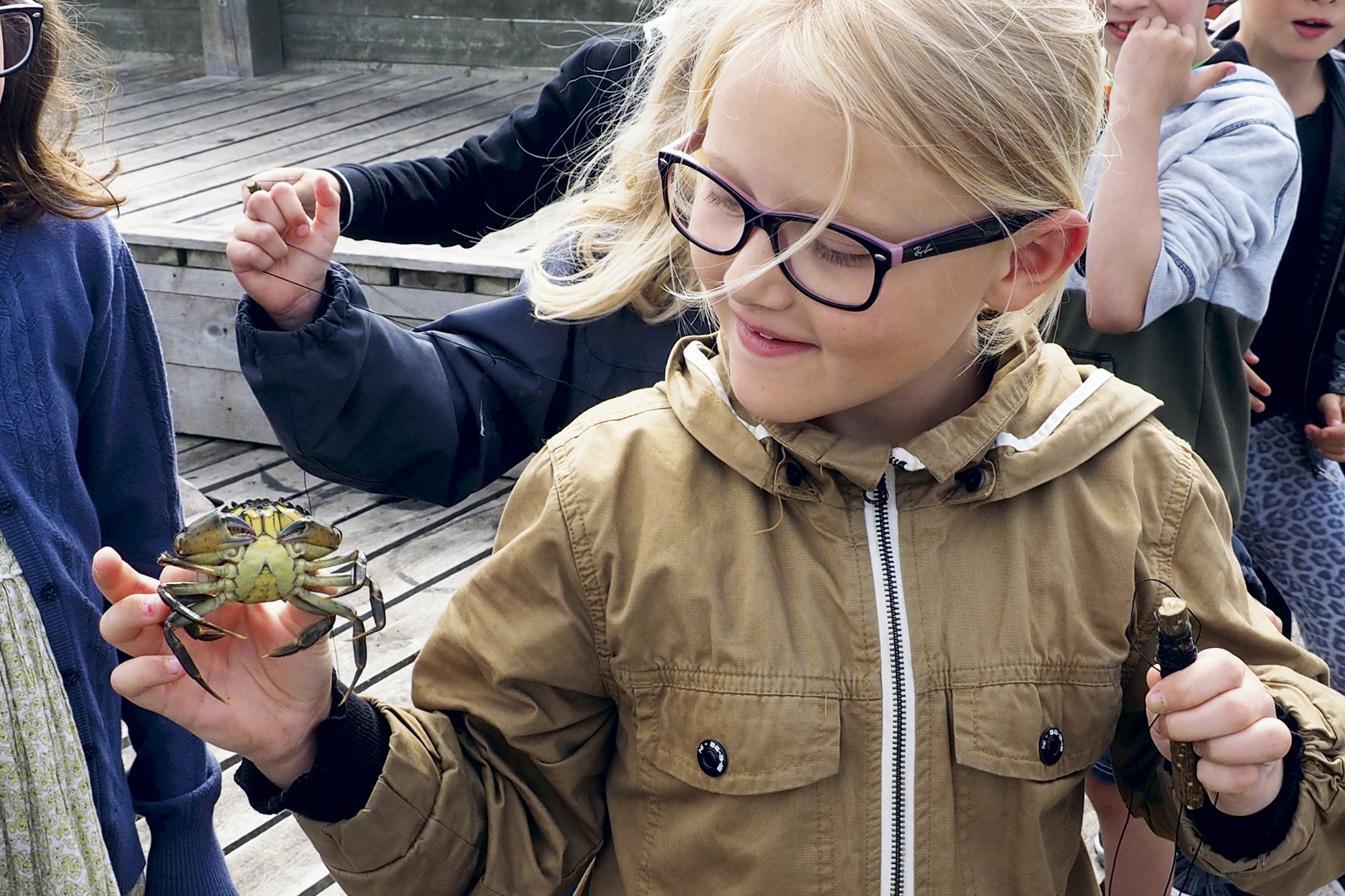 Hvilke dyr lever der, hvor du bader?