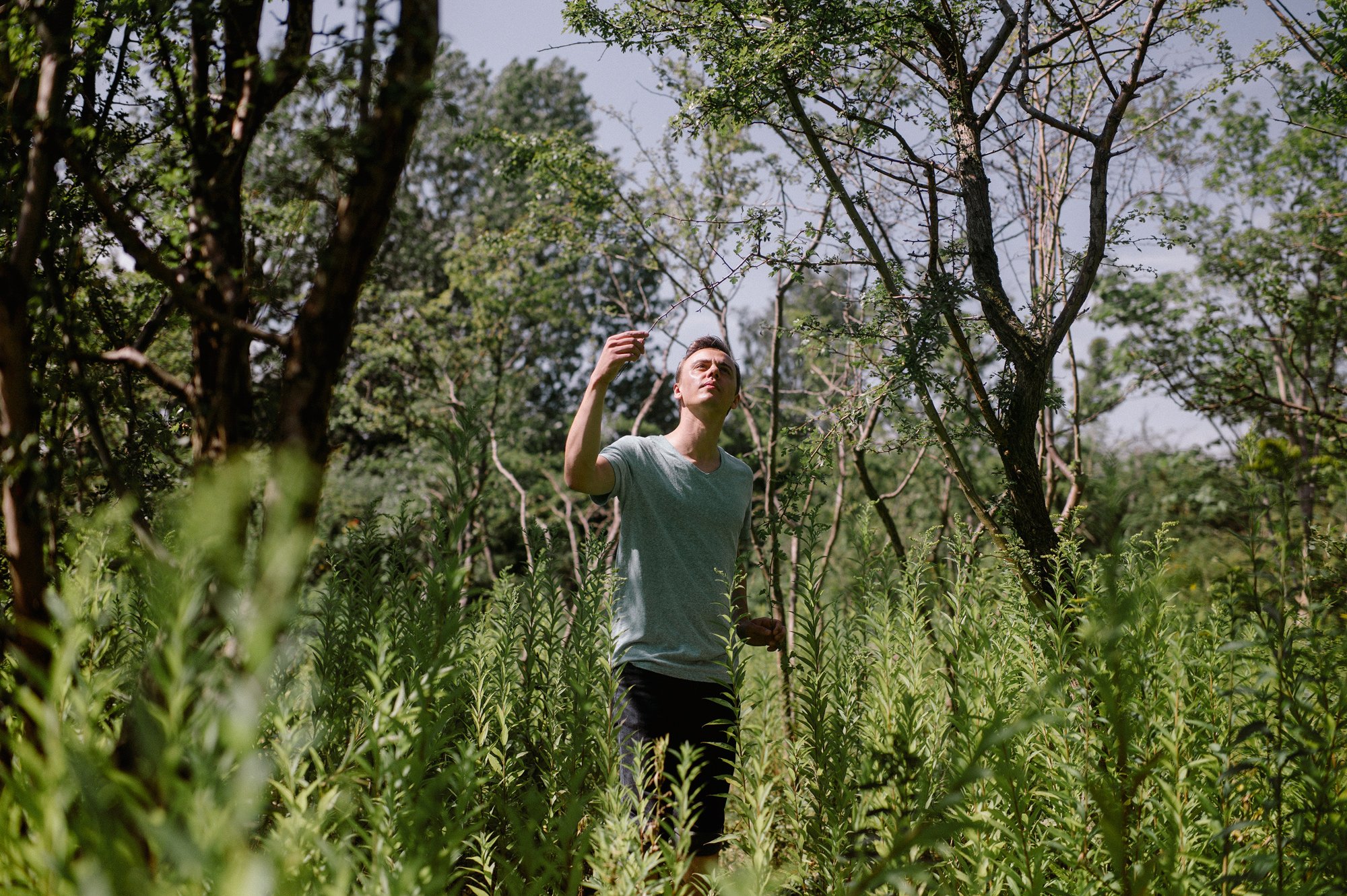 He is educated as a linguist, but Mikkel Nørtoft has also used botany in his research.