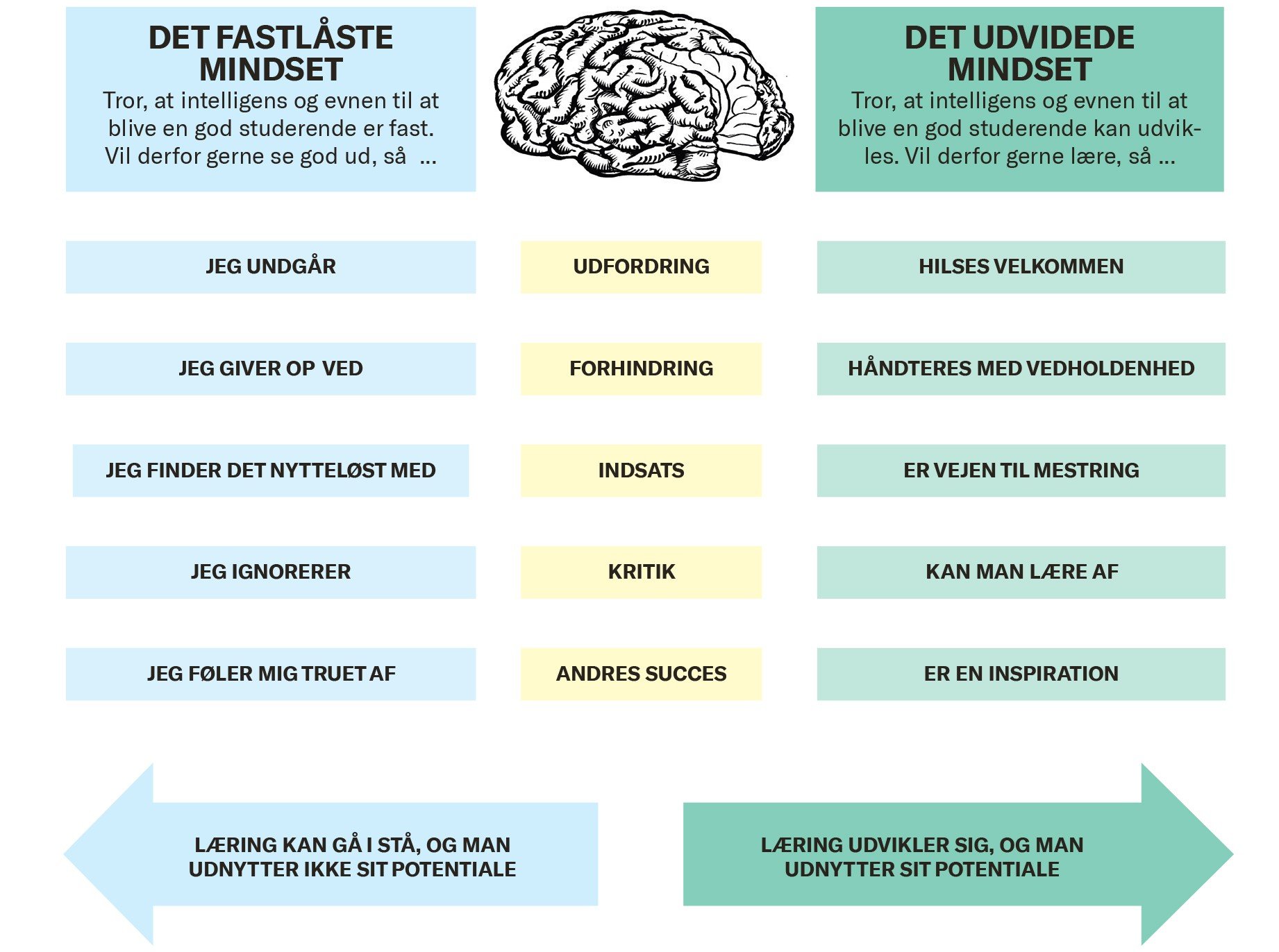 According to Carol Dweck, we either have a fixed mindset or a growth mindset. Some of us have a bit of both. Her point is that we should try to take on a growth mindset, and we do this by daring to make mistakes and learn new ways of doing things, being open to change and not always looking for the safe solutions. She wants to move away from the fixed mindset, where you only do what you already know you can do. Because if we only do what we already can do, we miss out on learning everything that we cannot do yet.