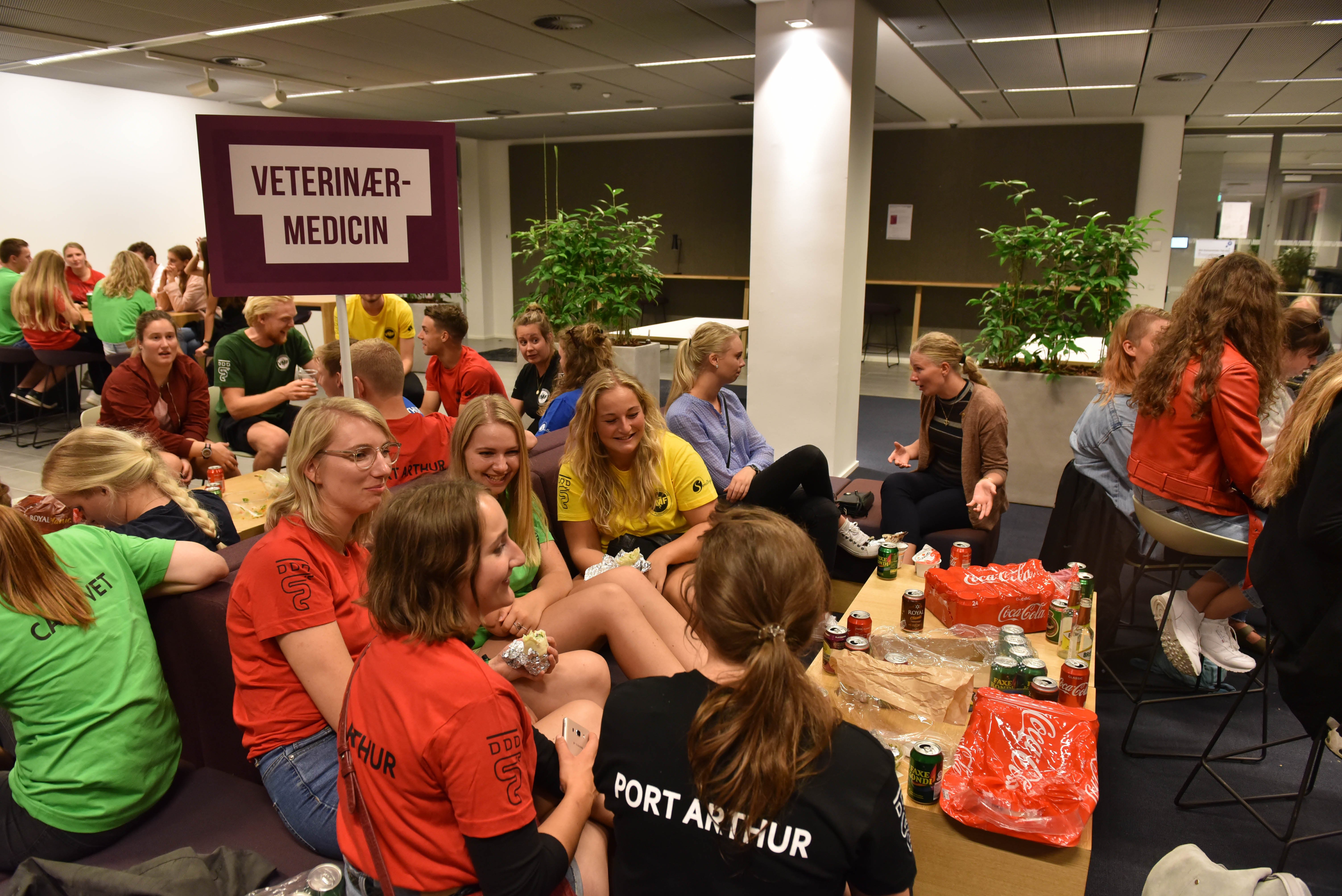 Veterinærmedicinerne har, ligesom mange andre, fundet en hyggelig krog på en af gangene på Søndre Campus.