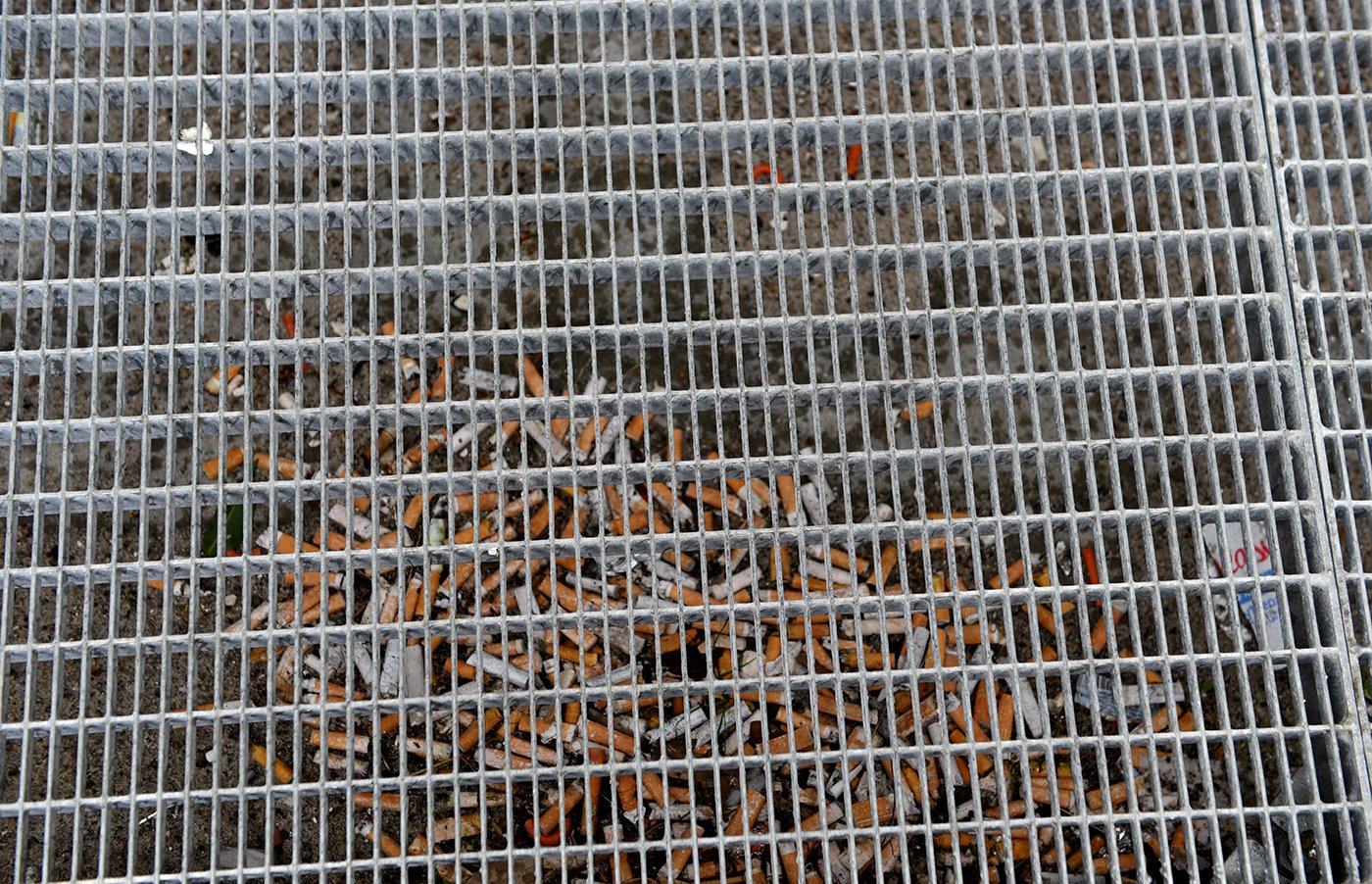 Skodder i efterårets farver på Søndre Campus.