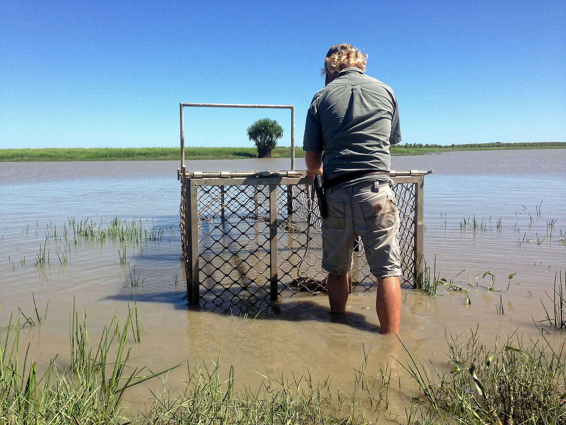 Matt Kendal står med sin pistol i venstre side i vandet. En stor krokodille er fanget i buret - dens savtakkede ryg rager op over  vandet.