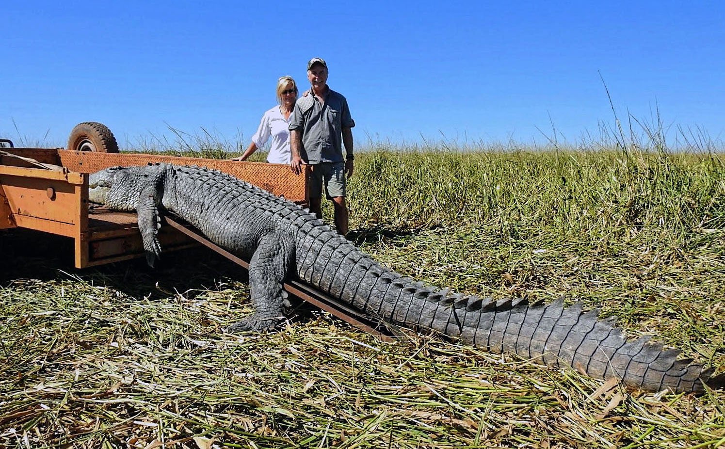To klienter - turister - får trukket 'deres krokodille' op på en ladvogn for at få den skindet på safarifarmen. For cirka 50.000 kroner har de købt tilladelsen af Matt Kelman til at føre dens kranie og skind ud af Australien, hvis de ønsker det.