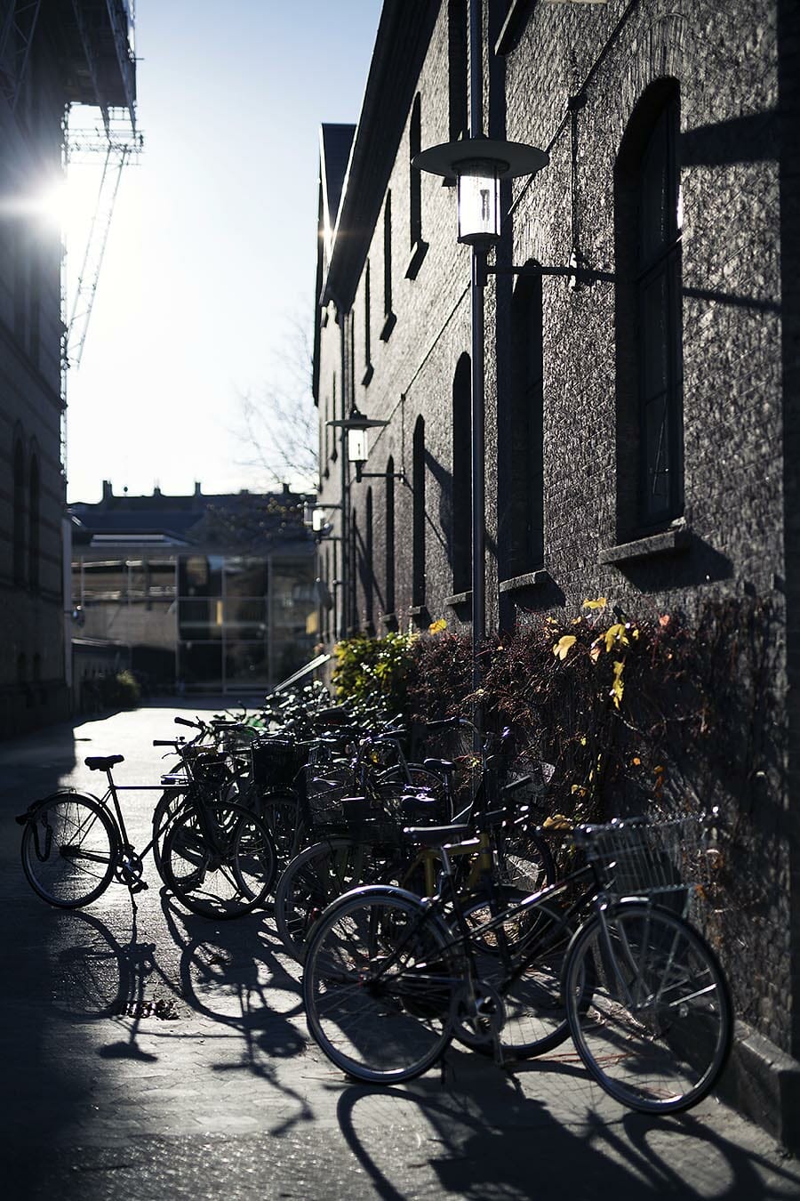 38,600 UCPH students may find themselves classroomless from 10 April because of the expected lockout.