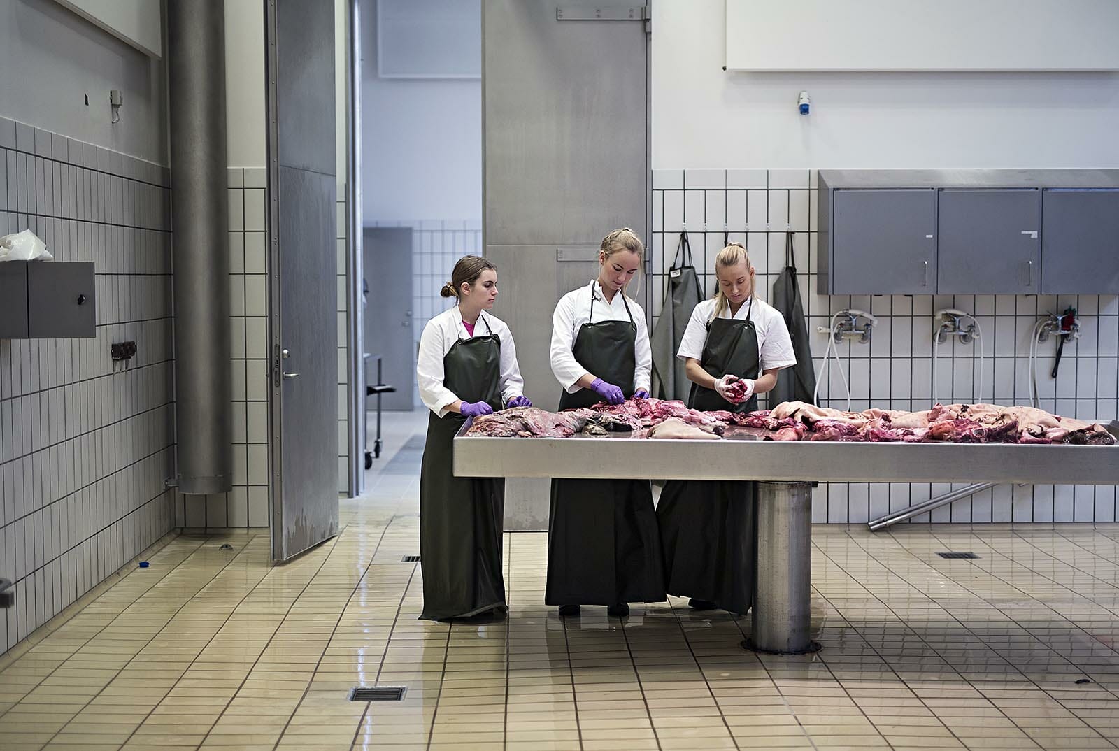 Studerende undersøger præparater.