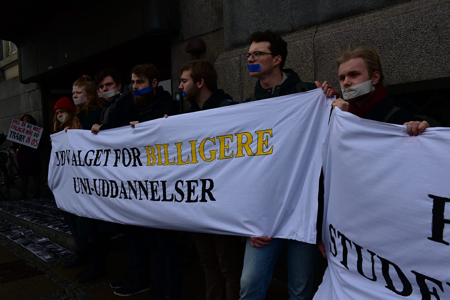 Regeringens 37 anbefalinger. Studenterdemo 12. marts 2018.